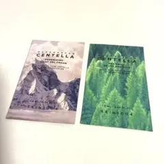 SKIN1004 サンプル2点　ティートリカ ポアミナイジング ジェルクリーム