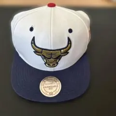 Item thumbnail for item 21cbf3d7-dc1f-429d-a36e-deba1d678f77