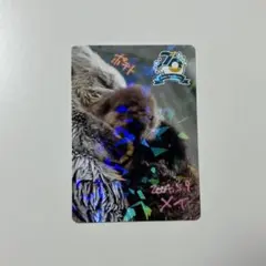 2025年最新】鳥羽水族館 メイの人気アイテム - メルカリ