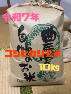 令和7年度産ひとめぼれ 10kg 訳あり - メルカリ