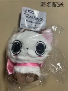 にゃんぱいあ　ぬいぐるみマスコット　茶々丸