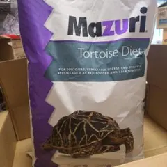 Item thumbnail for item 79535983-1824-495f-af5c-b27805bf11e5