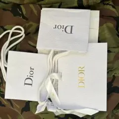 Dior ショップ袋セット 大・小