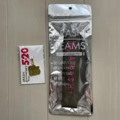 嵐 ARASHI BEAMS ラゲージマーク 緑