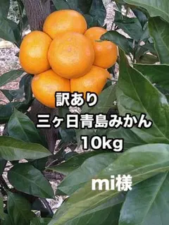★mi様★訳あり三ヶ日青島みかん 10kg