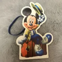 東京ディズニーリゾート バケーションパッケージミッキーパスケース