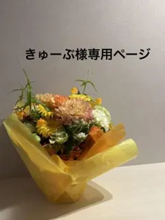 【きゅーぶ様専用】明治 ステップらくらくキューブ 20袋　おまけつき