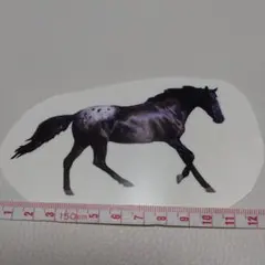 【14番】馬　ステッカー　アメリカ製　2枚目から30円