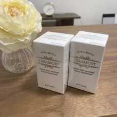 Item thumbnail for item c1fb359a-c2e0-463a-bd2e-c97a9f873e6e