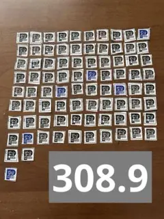 グーン　ポイント　308.9点