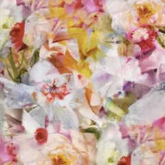 リバティ　フローズンインタイム