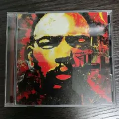 2026年最新】DEV large the albumの人気アイテム - メルカリ