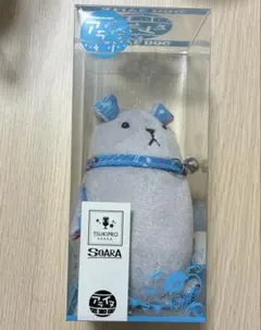 【匿名取引】 ツキプロ アライヌ S.O.A.R.A.