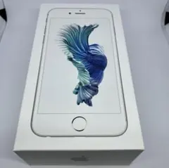 iPhone6s 外箱 イヤホン Lightning Apple iPhone
