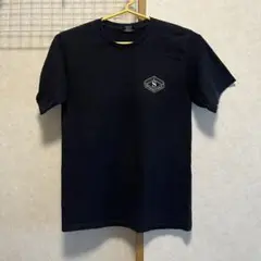 【日焼け有】STUSSY レディース Sサイズ Tシャツ