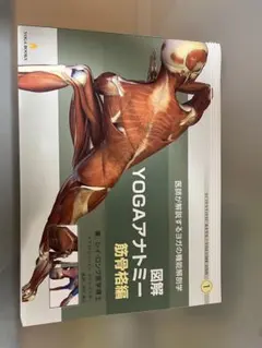 図解 YOGAアナトミー 筋骨格編 レイ・ロング