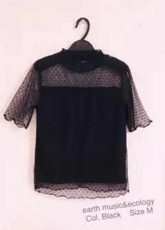 ドットチュールプリーツ半袖プルオーバー(earth music&ecology)