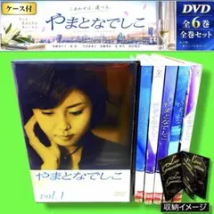 ケース付 おいしい関係 DVD 全6巻 全巻セット 中山美穂 唐沢寿明