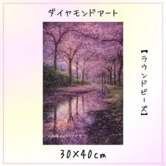 【おまけ付き】ダイヤモンドアートキット 30x40cm 桜並木 風景 水面反射