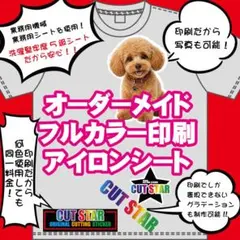 フルカラー印刷　アイロンプリントシート　オーダーメイド　制作　Tシャツスウェット