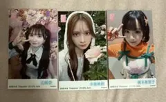 AKB48 チェキ風 生写真 ガラポンチャレンジ 2026年6月 まとめ売り