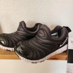 ナイキ　ダイナモフリー