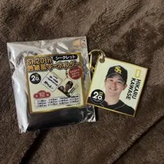 川瀬晃 色紙風キーホルダー
