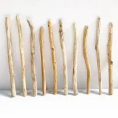 Item thumbnail for item 3ad1bb87-bc60-462b-93a4-bc20886ce063