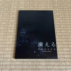 凍える　FROZEN パンフレット　坂本昌行　鈴木杏