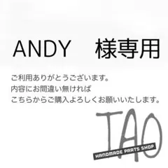ANDYさま専用販売ページ/