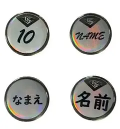 Item thumbnail for item b33b7c8c-c8b3-444f-9db1-a16e80baebe6