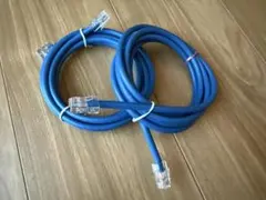 CAT6A LANケーブル 2mストレート 2本セット