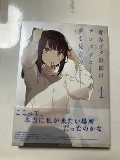 青春ブタ野郎はサンタクロースの夢を見ない 1〈完全生産限定版〉