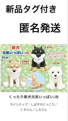 くったり柴犬 元気いっぱい くろりん JB くったり柴犬 元気いっぱい くろりん JB