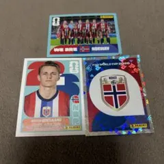 Panini FIFAWorldCup2026ステッカー　ノルウェーウーデゴール