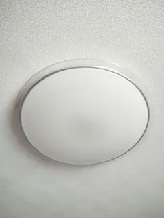 IRIS OHYAMA CL14DL-5.0CF シーリングライト14畳