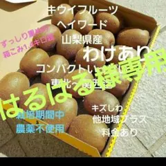 ❇️7キウイフルーツ　　わけあり　小玉　箱いっぱい　コンパクト　山梨県産