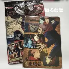 呪術廻戦 ミニアートシートコレクション 虎杖悠仁