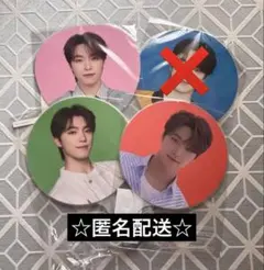 SEVENTEEN ディノ うちわ セット まとめ売り