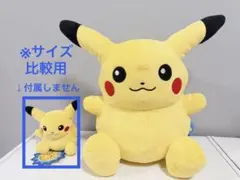 ピカチュウドール ポケモンセンター 10周年記念 ぬいぐるみ - メルカリ