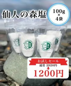 仙人の森塩 100g×6袋 天然塩 海洋深層水 - メルカリ