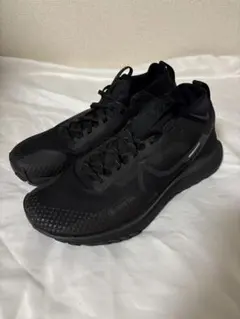 26.5㎝　NIKE　リアクト ペガサス トレイル 4 GTX V2のサムネイル