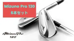 MIZUNO Pro 120 アイアンセットのサムネイル