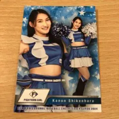 Item thumbnail for item ee2d95e2-0489-42f4-933f-323d75aa120a