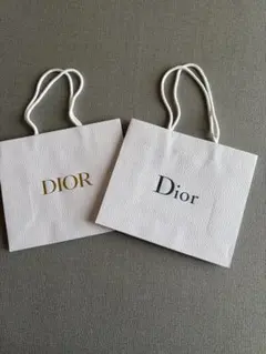 Dior ショップ袋 2枚セット