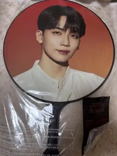SEVENTEEN うちわ BE THE SUN ジョンハン 新品未開封