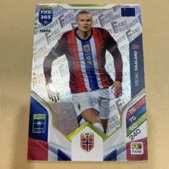 panini soccer ERLING HAALAND