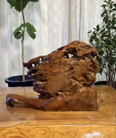 天然木 火鉢 一枚板 瘤杢 囲炉裏 オカロ 天然木 火鉢 一枚板 瘤杢 囲炉裏 オカロ - メルカリ