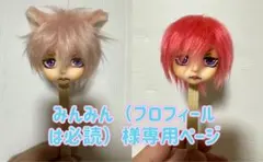 みんみん（ブロフィールは必読）様専用ページ