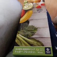 Item thumbnail for item 5aaa5933-50c2-4348-8339-92d511e82be2